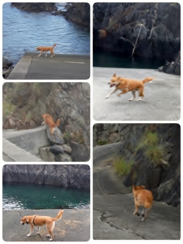 2014-08-17-15-32-08_deco (480x640).jpg