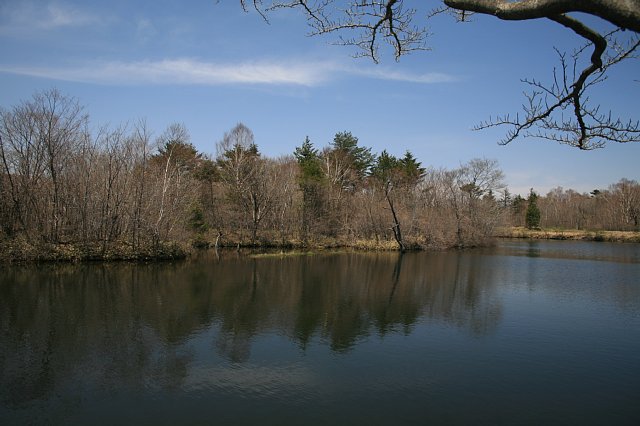 0504-2.jpg