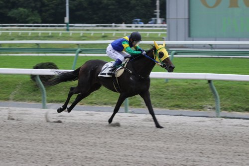 関本ｂ.jpg