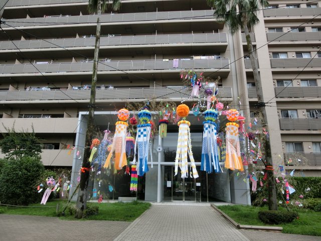 CIMG8980.JPG