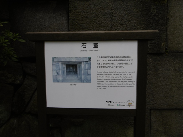 P1310171.JPG