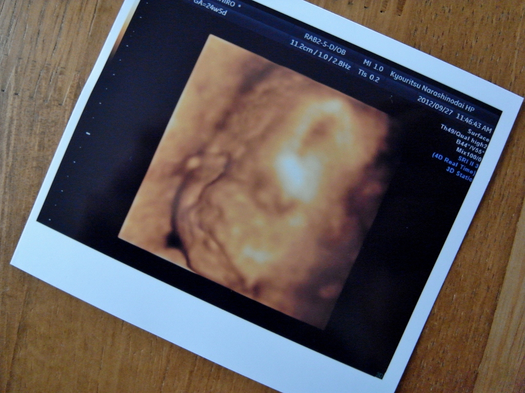 RIMG0004 (1024x768).jpg