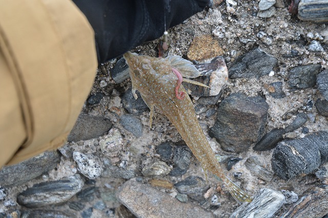 showPhoto (640×426)