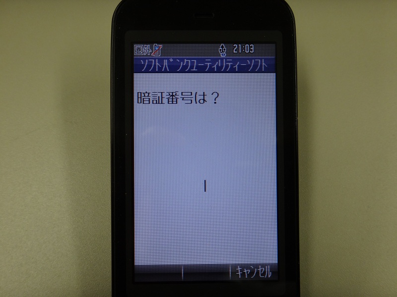 DSC05528.JPG