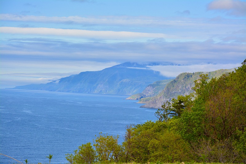 DSC_0644.jpg