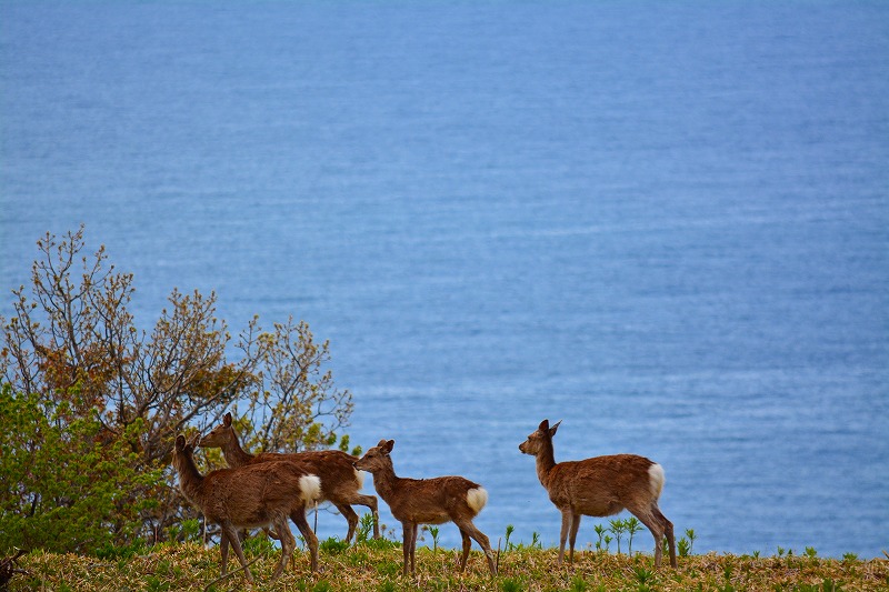 DSC_0638.jpg