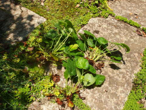 2015-06-24 10.51.58.jpg