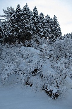 130217-3.jpg