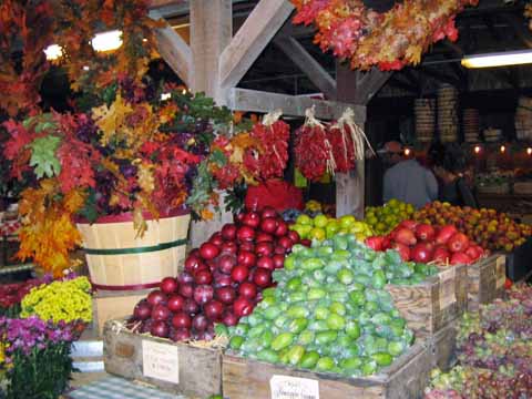 080_store.480×360