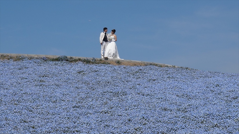 20150430 09173002.JPG