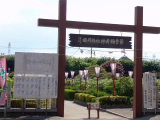 yakyuuzinnjya (6).jpg