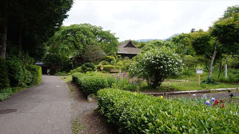 20150525 11512201.JPG