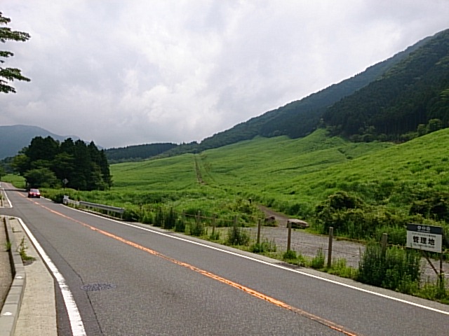 DSC_0152.jpg