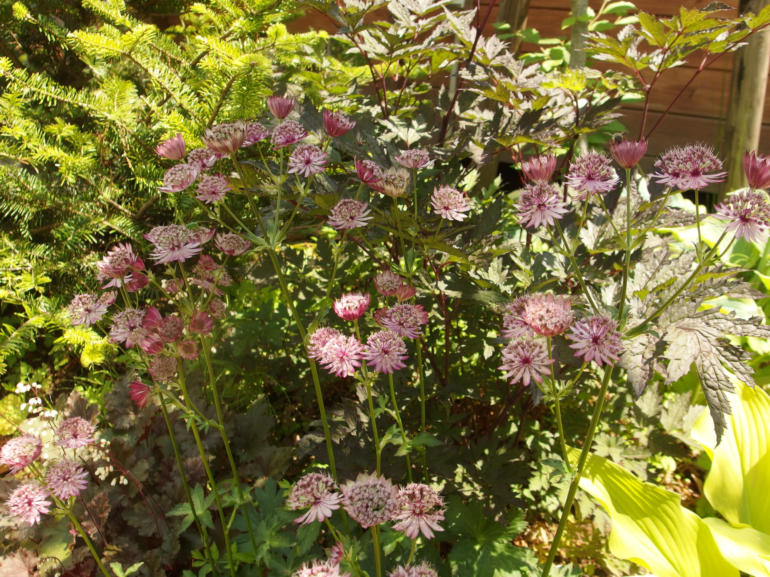 2015-06-10 12.15.42.jpg