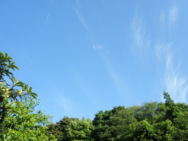 P5300990.JPG