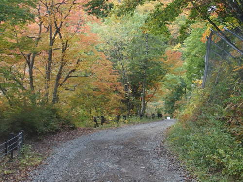 2015-10-13 09.56.51.jpg