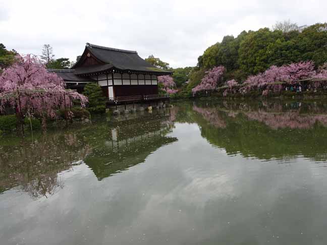 平安神宮 (11).JPG