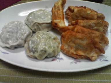 揚げ餃子25111702