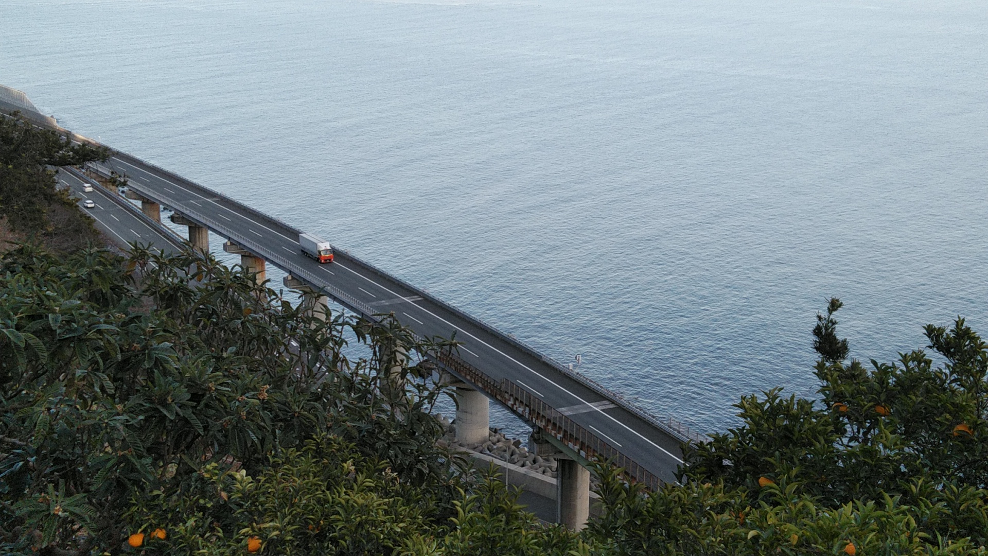 20190111  DSC_0010.jpg.jpg