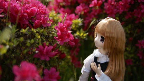 20150429植樹祭　08.jpg