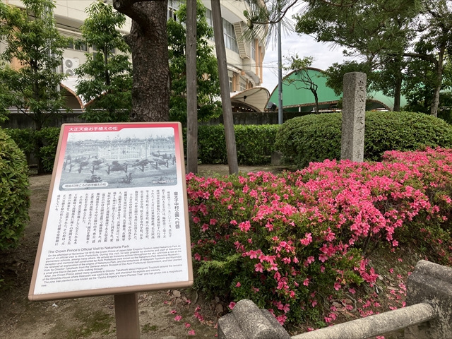 IMG_3766_R.JPG