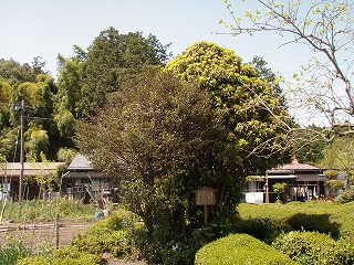 P4280007.jpg