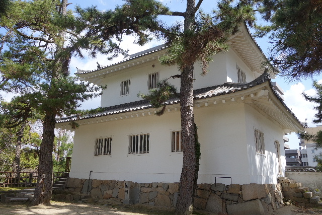 DSC03979.JPG