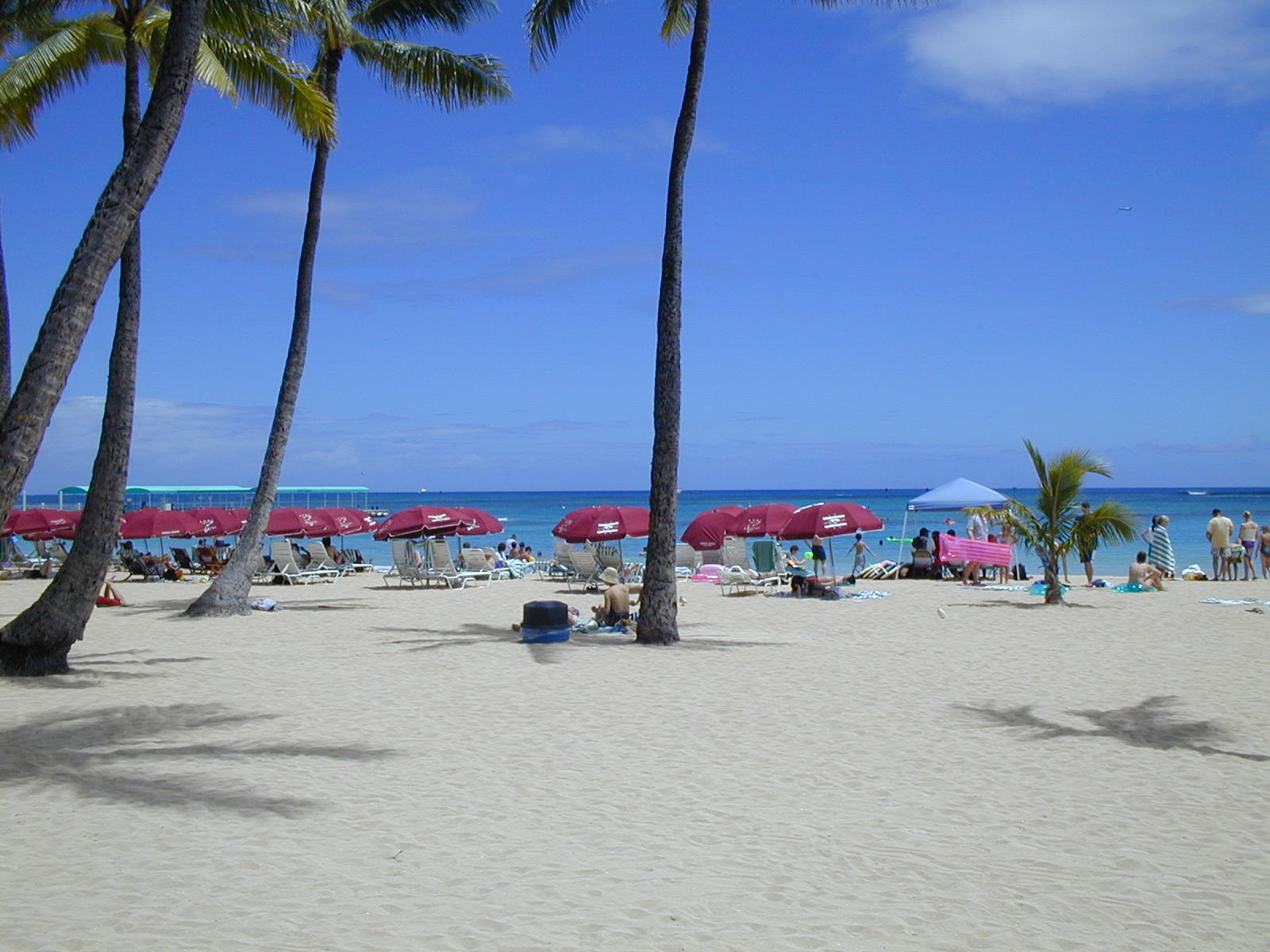 2002HAWAII330.jpg