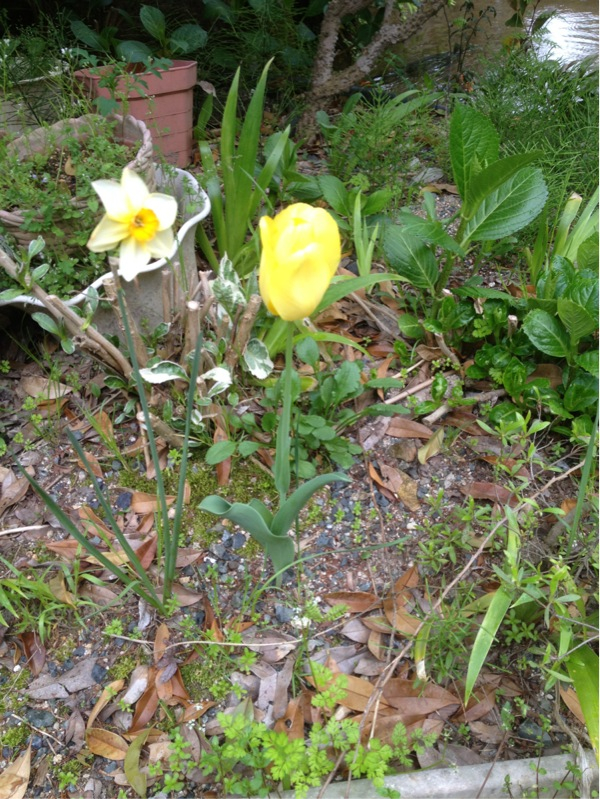 201305100921_5187_iphone.jpg