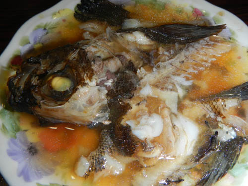 DSCN2289.jpg