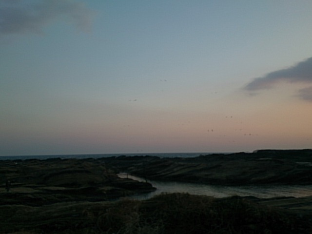 20150211  DSC_0005.jpg