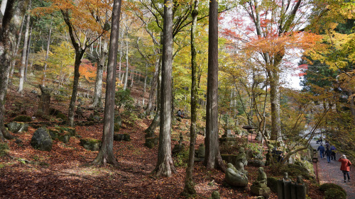 20141112 11233001.jpg