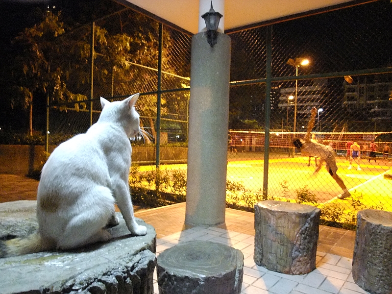 DSCF6718.jpg