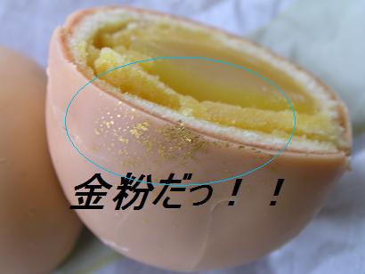 DSCN1907.jpg