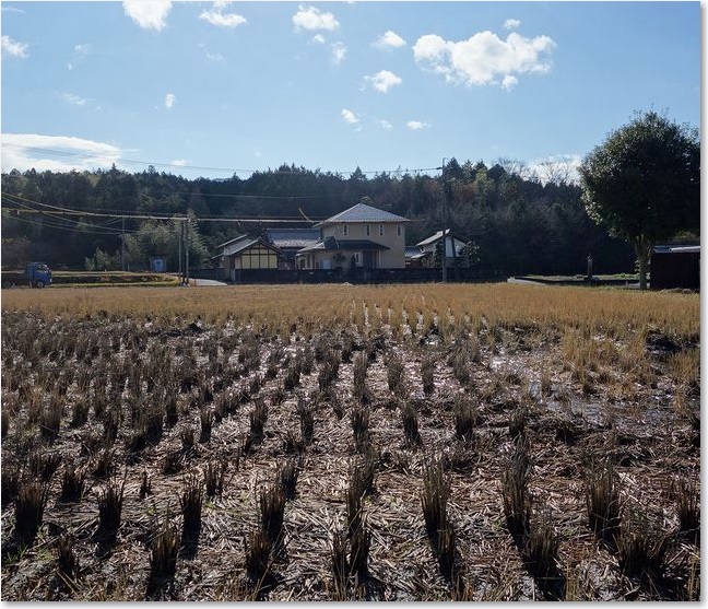 15苅田の風景