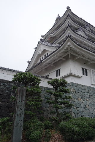 DSC04716.JPG