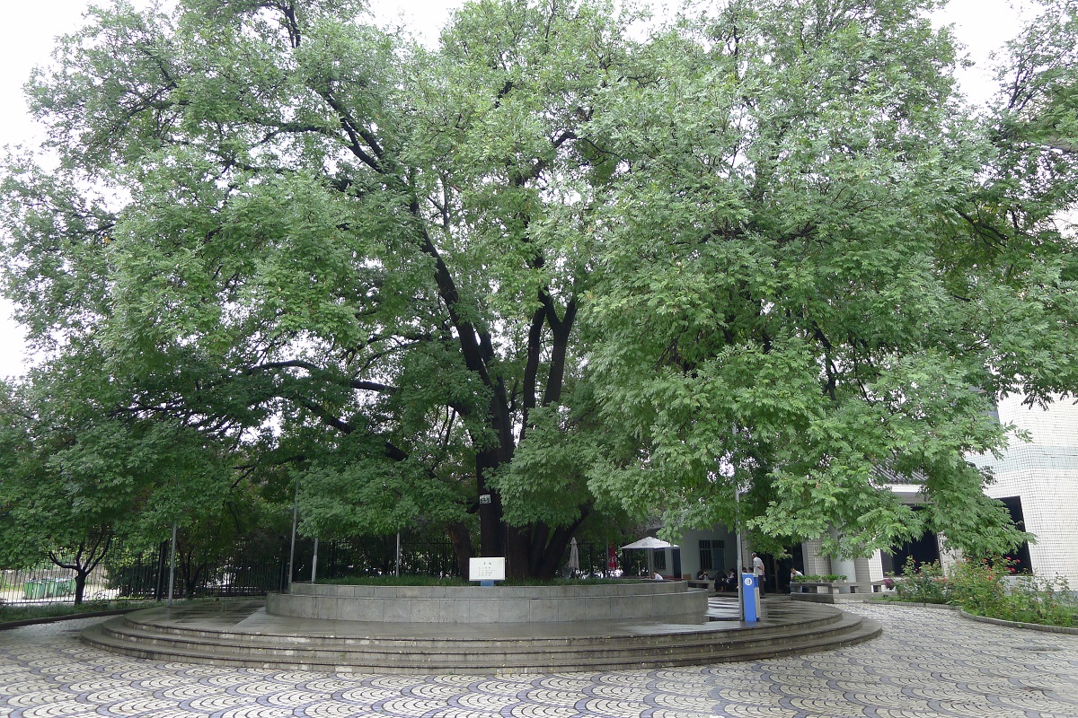 P1350215.JPG