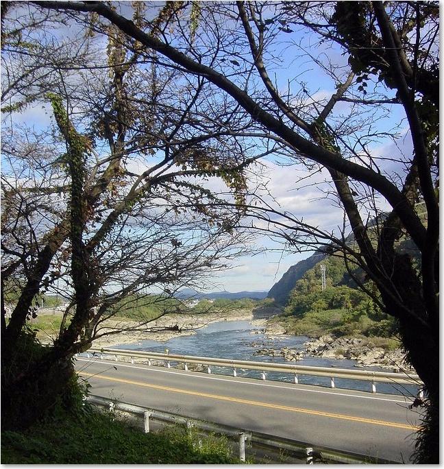 65樹間から木曽川