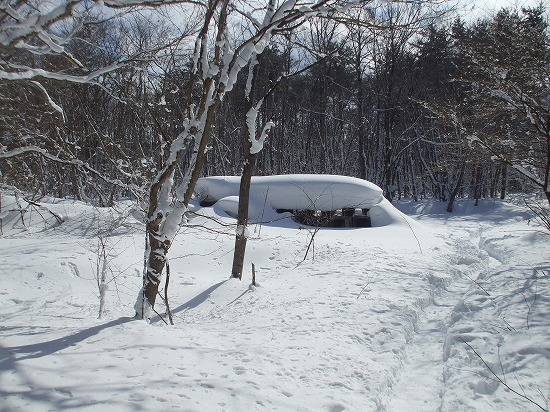 DSCF4587.jpg