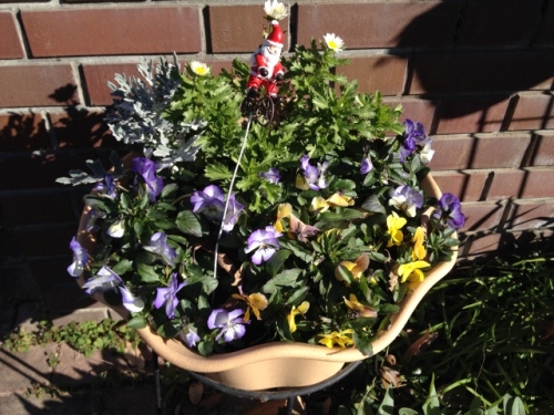 IMG_2567 (640x480).jpg