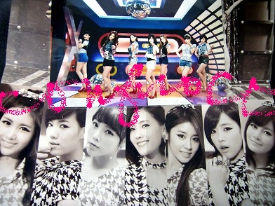 tara rolypoly jp.jpg