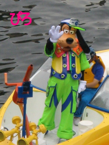 過去の写真ですみません。一応夏なので！