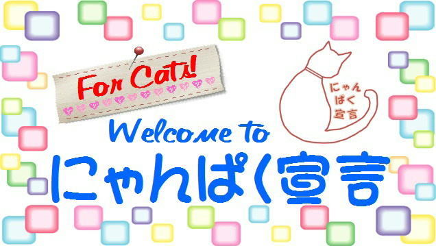 にゃんぱく宣言ブログバナー.JPG