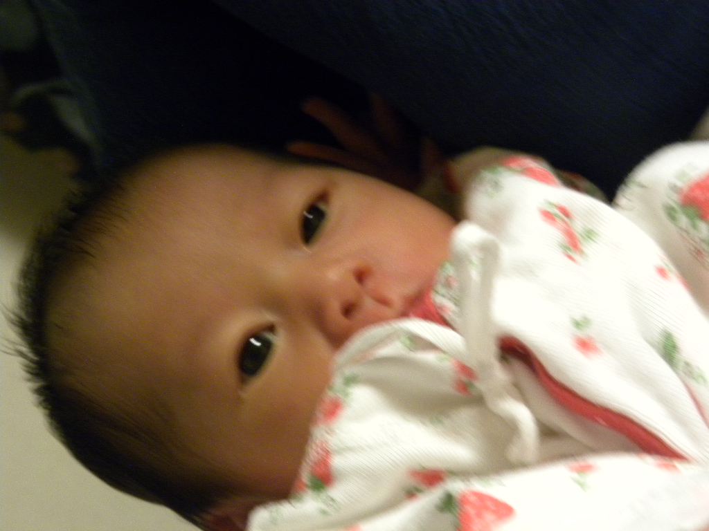 DSCN7919.JPG