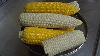 DCIM0287.jpg