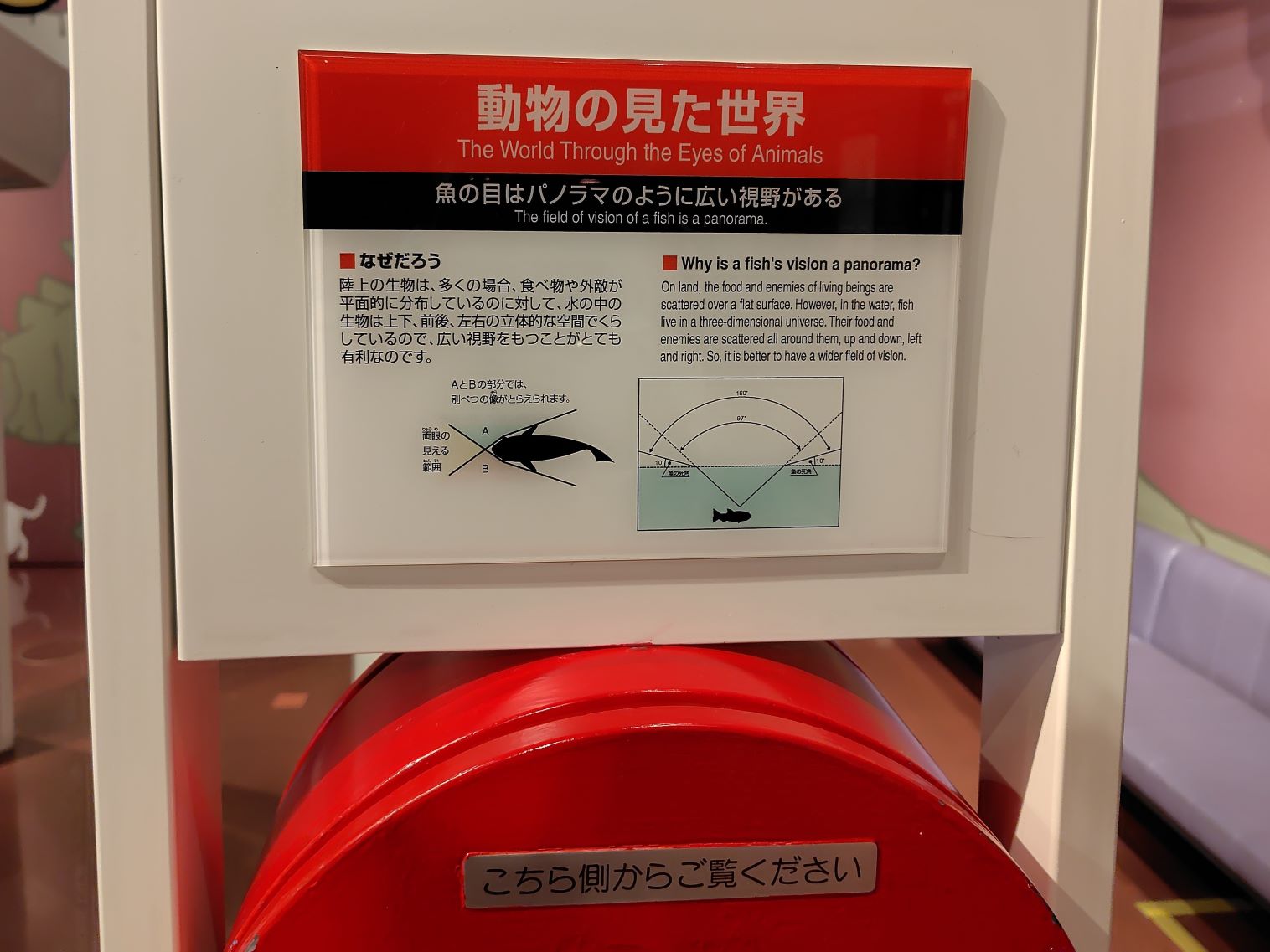 240607134159759.JPG