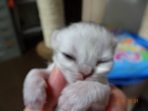 DSC04410 (300x225).jpg