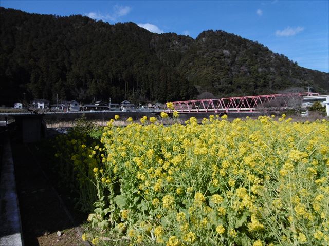 P1000809_R.JPG