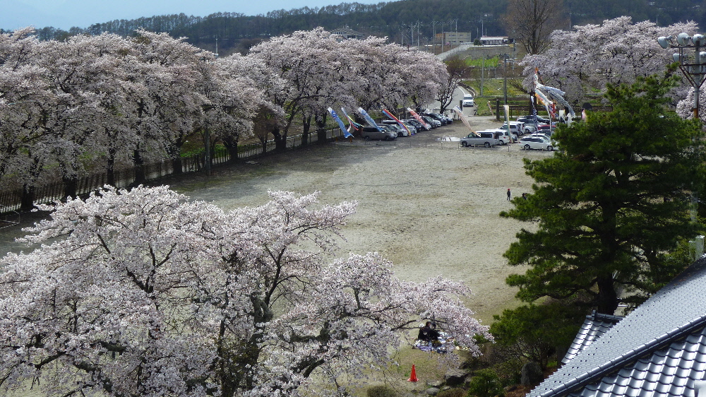 P1000424.JPG
