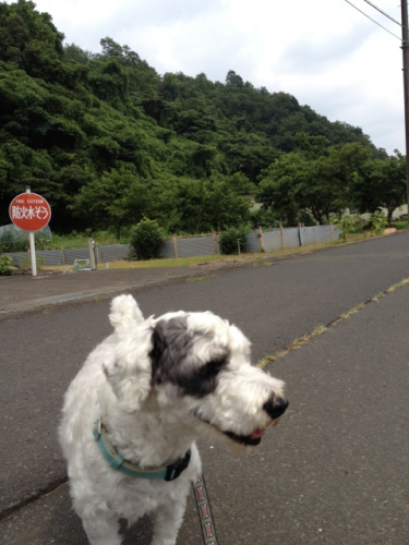 201207251540_7612_iphone.jpg